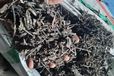深圳蛇口港進口貝寧腰果報關清關全套代理