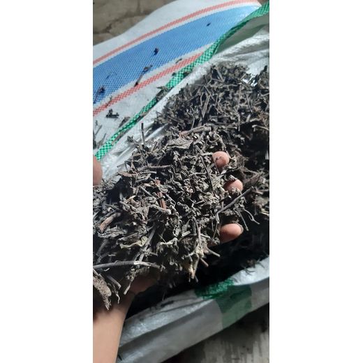 廣州南沙港進口貝寧腰果代理國外上門提貨雙清關