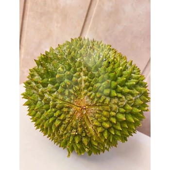 廣州南沙港進(jìn)口越南筍干報(bào)關(guān)，代理服務(wù)