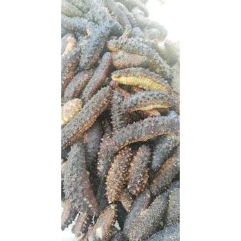 深圳鹽田港進(jìn)口阿根廷凍魚清關(guān)申報流程有哪些