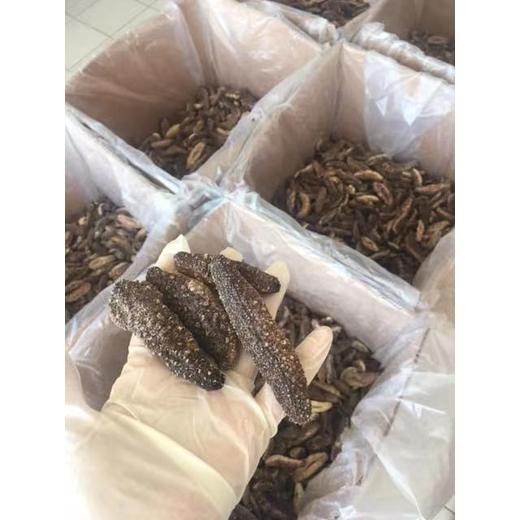 廣州黃埔港進口巴拿馬凍蝦報關(guān)報檢需要哪些資料？