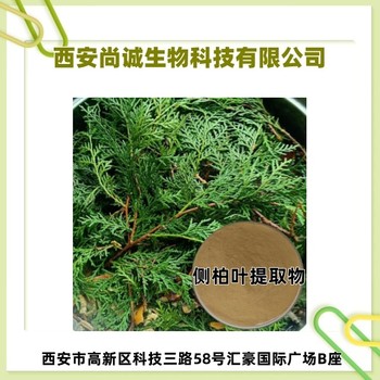 側(cè)柏葉提取物槲皮苷尚誠生物
