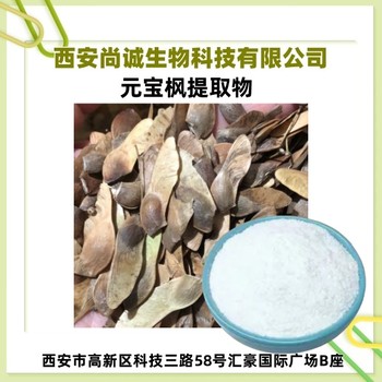 元寶楓提取物元寶楓籽油天然神經(jīng)酸尚誠生物