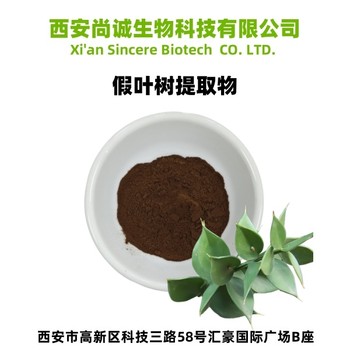 假葉樹提取物魯斯克皂甙尚誠生物