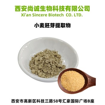 小麥胚芽提取物10：1小麥胚芽粉尚誠生物