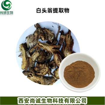 白頭翁提取物白頭翁素三萜皂苷尚誠生物