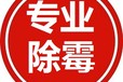深圳刷墻師傅電話,深圳辦公室刷墻價格,墻面刷新服務