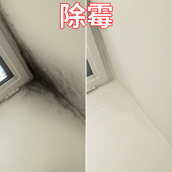 除霉菌公司電話,家政鐘點(diǎn)工清潔,除霉師傅,房屋保潔霉斑去除