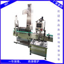 廠家供應(yīng)鏈板爬坡提升機(jī)自動(dòng)上蓋機(jī)