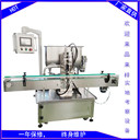 廠家供應(yīng)自動(dòng)辣椒醬灌裝機(jī)蒜蓉醬灌裝機(jī)