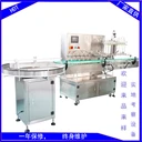 廠家供應(yīng)全自動多頭液體灌裝機