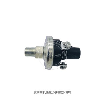 供應(yīng)小松挖掘機(jī)pc490-10共軌傳感器6252-71-1200原廠配件