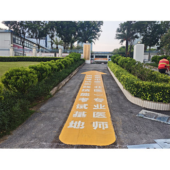 河池金城江區(qū)公園路面熱熔劃線