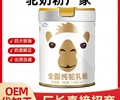 代加工厂家新疆骆驼奶粉