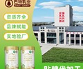 全脂驼乳粉依巴特驼奶粉厂家