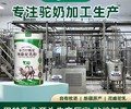 骆驼奶招商加盟骆驼奶粉