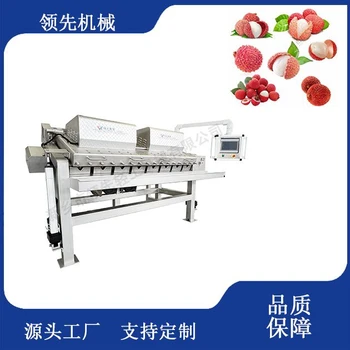 龙眼剥壳机龙眼果酒加工设备生产线NFC果汁生产线