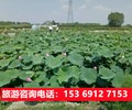 辽宁出发到河北旅游价格,石家庄旅行社