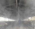 榆林养殖场人员喷雾消毒设备,养殖场自动消毒通道安装定制