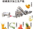 南京脐橙榨汁加工生产线价格图片