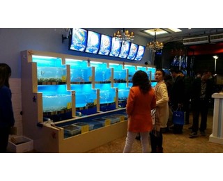 图片0