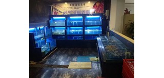 图片0