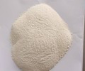 饲料大米蛋白粉宠物专用料大米蛋白粉营业价值高宠物专用饲料