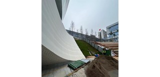 图片0