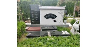 图片0