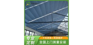 图片0