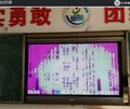河北蓉城鸿合教育/会议一体机显示屏维修,站点电话