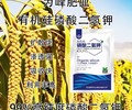 新型闪溶有机硅磷酸二氢钾定做,为峰肥业公司招商