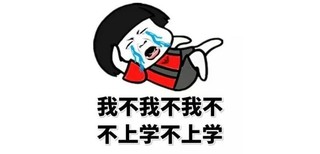 图片0