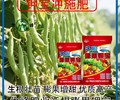 生根壮苗美国钾宝钾宝直销,钾宝厂家招商电话