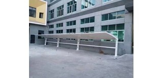 图片0