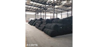 图片0