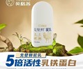 山东戈壁鲜驼乳价格,英格苏戈壁鲜驼乳