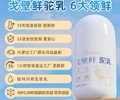 吉林戈壁鲜驼乳厂家,英格苏戈壁鲜驼乳