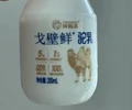 陕西戈壁鲜驼乳优点,英格苏戈壁鲜驼乳多少钱