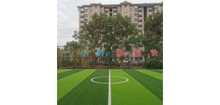 图片0