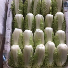 Shenzhen Cai Guanglian Food Technology Co., Ltd. product image 7