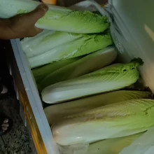 Shenzhen Cai Guanglian Food Technology Co., Ltd. product image 6