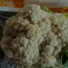 Shenzhen Cai Guanglian Food Technology Co., Ltd. product image 9