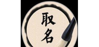 图片0