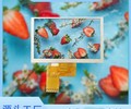 5寸TFTips液晶显示屏,5寸TFT-LCD