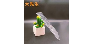 图片0