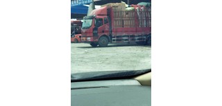 图片0
