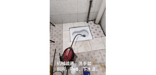 图片0