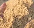 肇庆生产发酵玉米面用途