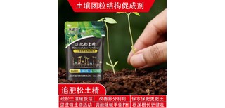 图片0